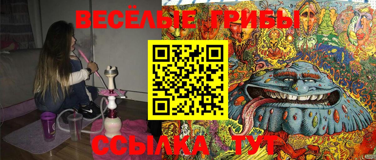 Будённовск  Псилоцибиновые грибы Cubensis  Вход с VPN 