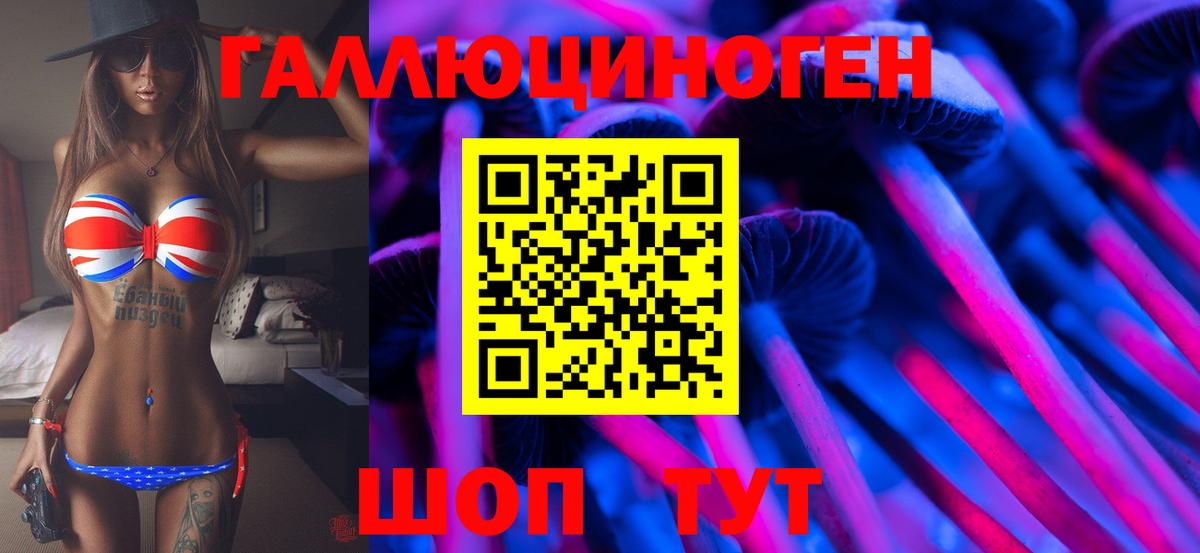 Гашиш Будённовск