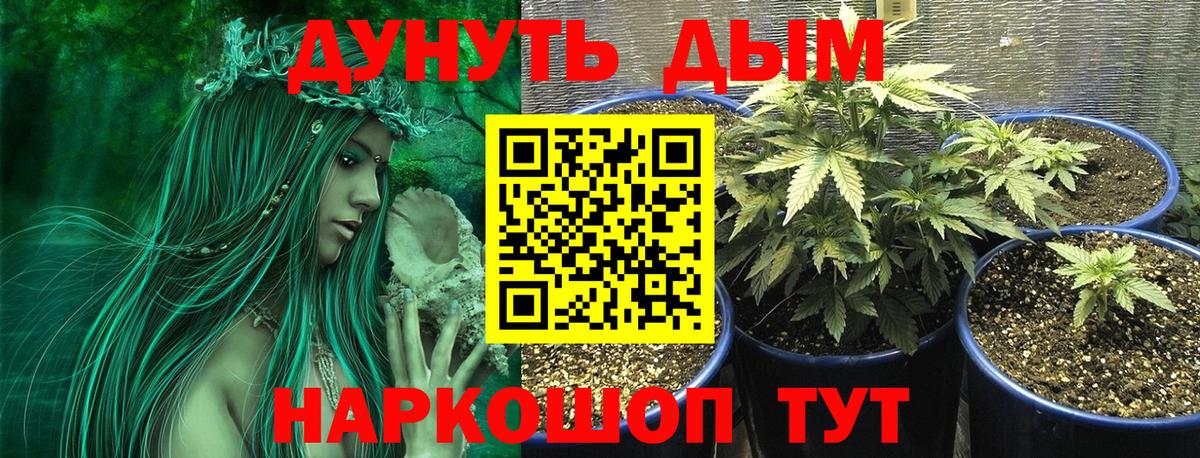 Конопля THC 21% Будённовск